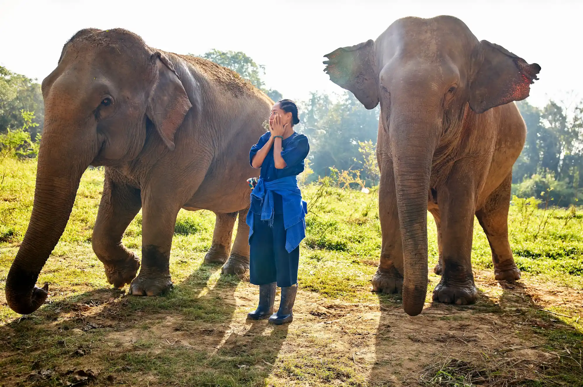 Tracee Ellis Ross in Solo Traveling' Season